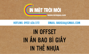 in danh thiếp, name card, card visit, giấy kraft